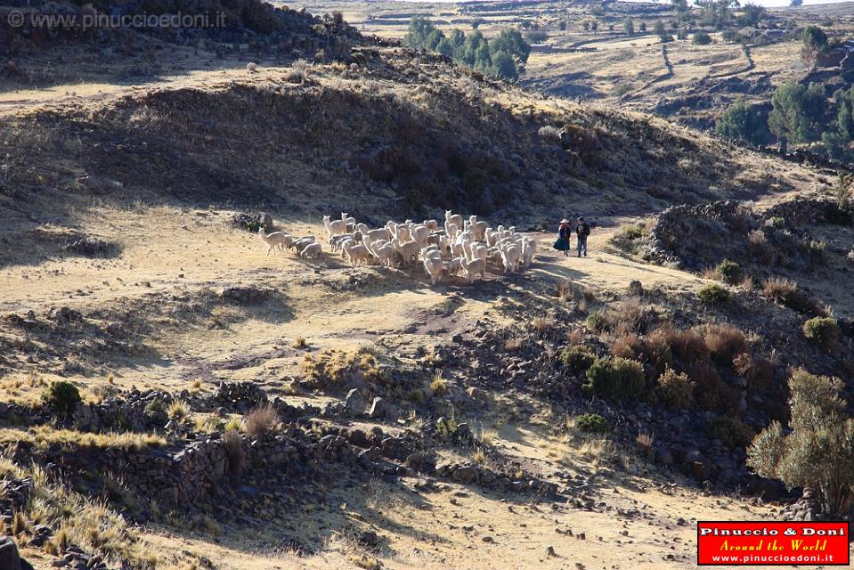 PERU - Da Puno a Sillustani - 2.jpg